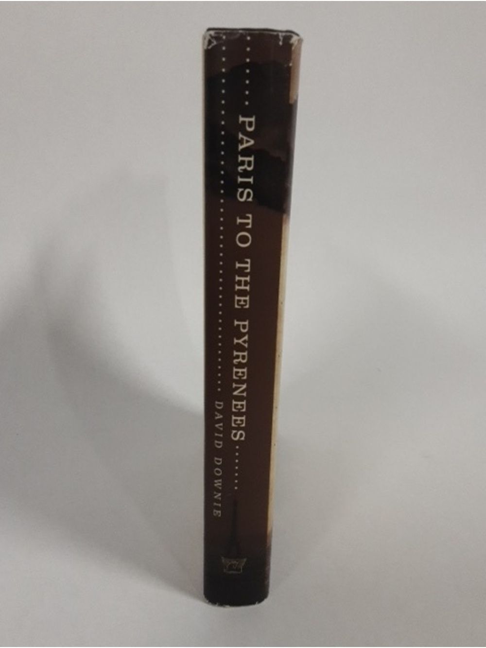 Paris To The Pyrenees: A Skeptic Pilgrim Walks The Way Of Saint James Hardcover - Picture 3 of 14